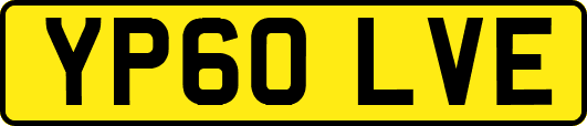 YP60LVE