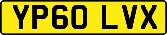 YP60LVX