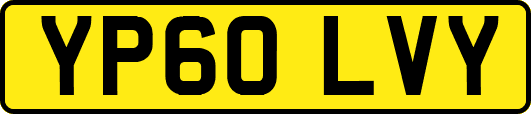 YP60LVY