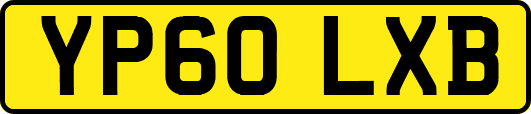 YP60LXB