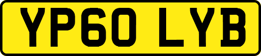 YP60LYB