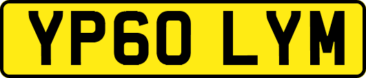 YP60LYM