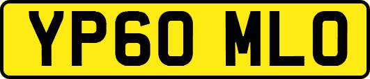 YP60MLO