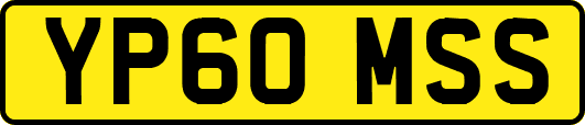 YP60MSS
