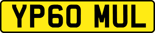 YP60MUL