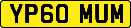 YP60MUM