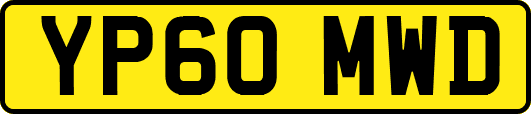YP60MWD