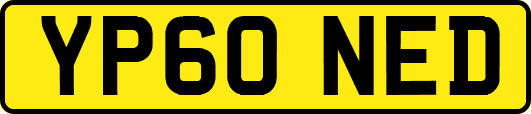 YP60NED