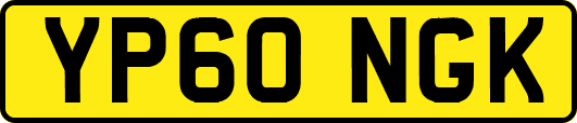 YP60NGK