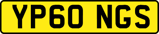 YP60NGS