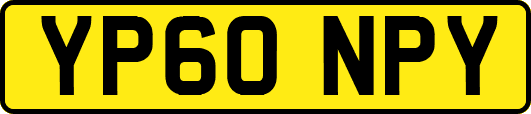 YP60NPY