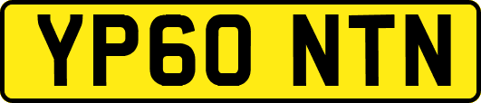 YP60NTN