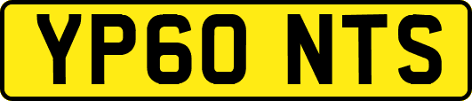YP60NTS