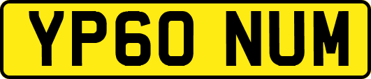YP60NUM