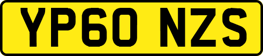 YP60NZS