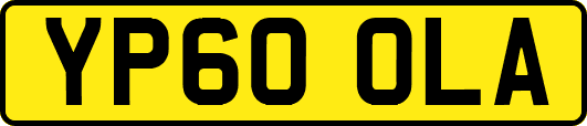 YP60OLA