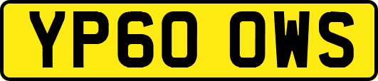 YP60OWS