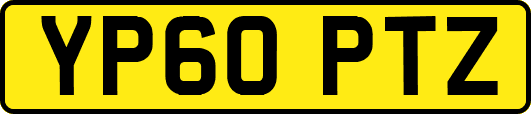 YP60PTZ