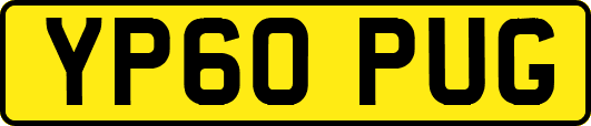 YP60PUG