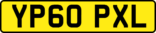 YP60PXL