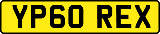YP60REX