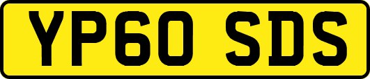 YP60SDS