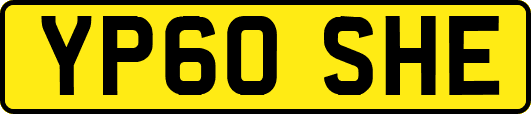 YP60SHE