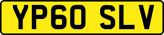 YP60SLV
