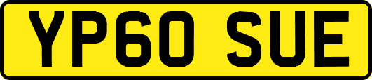 YP60SUE