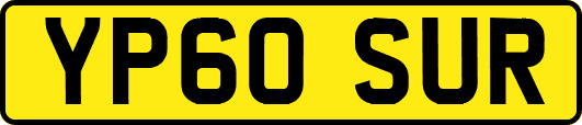 YP60SUR