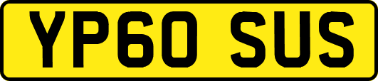 YP60SUS