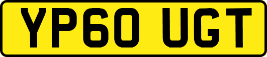 YP60UGT