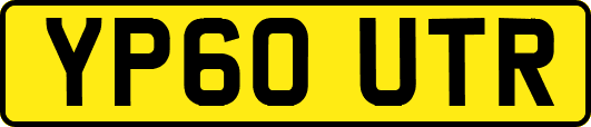 YP60UTR