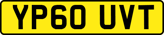 YP60UVT