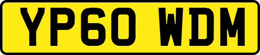 YP60WDM