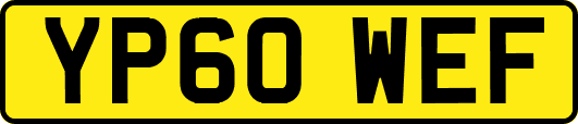 YP60WEF