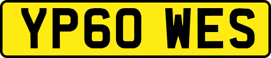 YP60WES