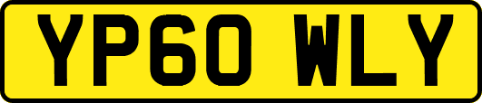YP60WLY