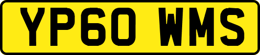 YP60WMS