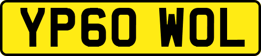 YP60WOL