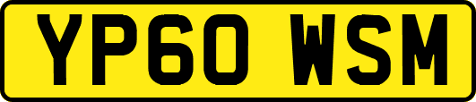 YP60WSM