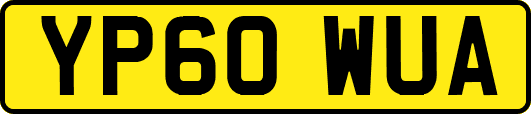 YP60WUA