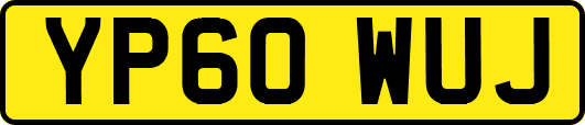 YP60WUJ