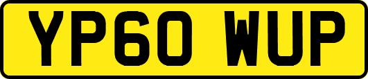 YP60WUP