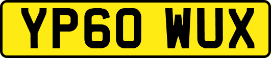 YP60WUX