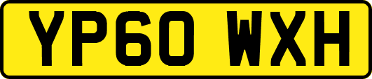 YP60WXH