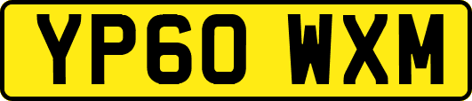 YP60WXM