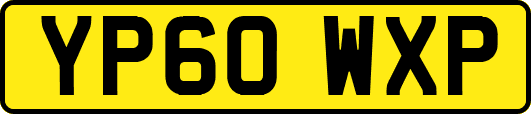 YP60WXP
