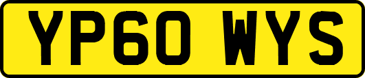 YP60WYS