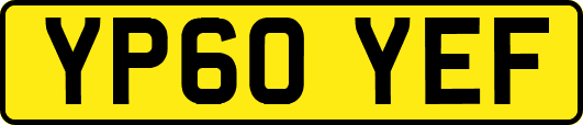 YP60YEF